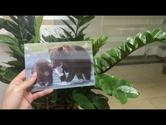 Brauner Bär in Alaska Linsenkarte Souvenir Geschenkkarte für Touristen 3D-Postkarten