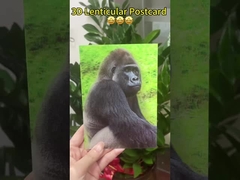 3D-Wechseln von Bildern Jubiläumskarte Geburtstag Hochzeitskarte 3D-Druckbilder