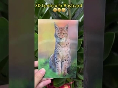 Van Goghs Sonnenblumen 3D-Linsen-Postkarten für die Museumsgalerie