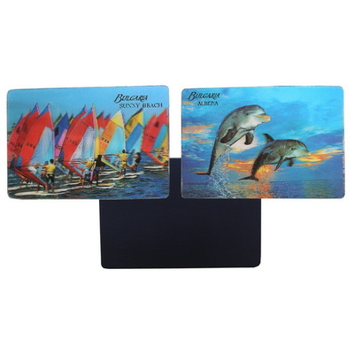 3D-Kühlschrankmagnete 3D-Linsen-Kreativkühlschrankmagnet Magnetische 3D-Magnete Touristen Souvenir
