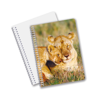 Alltäglicher Gebrauch Gute Qualität Made in China Öko-freundliches PET Langlebiges Custom Sheets 3D-Linsen-Spiral-Notebook