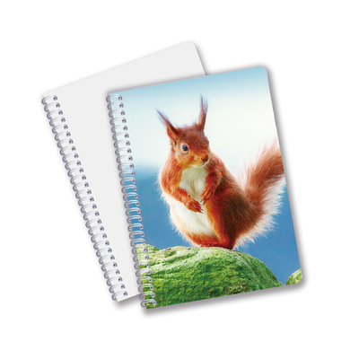Alltäglicher Gebrauch Gute Qualität Made in China Öko-freundliches PET Langlebiges Custom Sheets 3D-Linsen-Spiral-Notebook