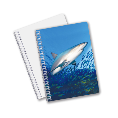 Alltäglicher Gebrauch Gute Qualität Made in China Öko-freundliches PET Langlebiges Custom Sheets 3D-Linsen-Spiral-Notebook