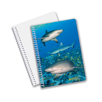 Schulmaterialien 3D-Linsen-Notebuch Custom Spiral-Notebook für Schüler und Büro