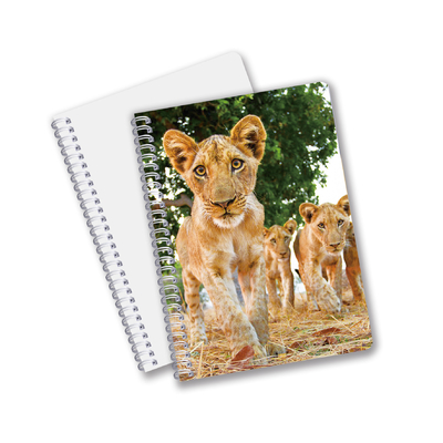 Schulmaterialien 3D-Linsen-Notebuch Custom Spiral-Notebook für Schüler und Büro
