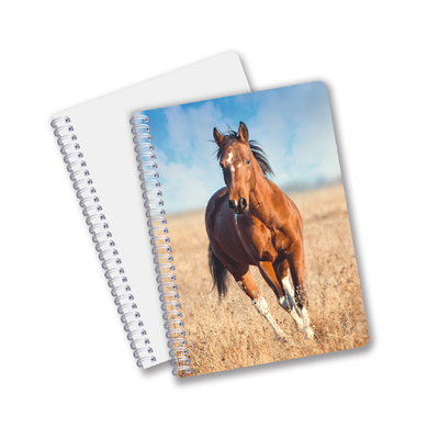 Schulmaterialien 3D-Linsen-Notebuch Custom Spiral-Notebook für Schüler und Büro