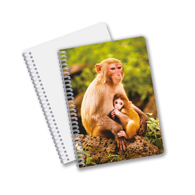 Großhandel angepasste Warmverkaufsmenge A6 A5 A4 PET-Spiral 3D-Linsenform CMYK-Druck-Notebooks für Büroarbeiten