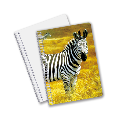 Großhandel angepasste Warmverkaufsmenge A6 A5 A4 PET-Spiral 3D-Linsenform CMYK-Druck-Notebooks für Büroarbeiten
