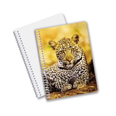 Großhandel angepasste Warmverkaufsmenge A6 A5 A4 PET-Spiral 3D-Linsenform CMYK-Druck-Notebooks für Büroarbeiten