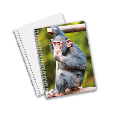 3D-Druck Lentikular-Notebook Schönes Spiral-Schüler-Notebook