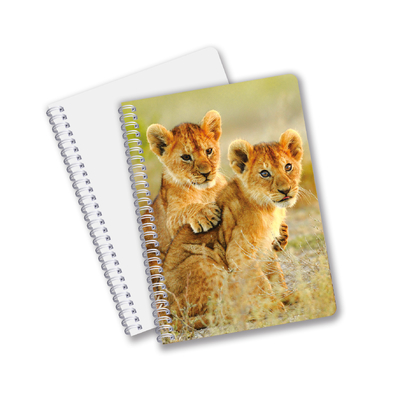 3D-Druck Lentikular-Notebook Schönes Spiral-Schüler-Notebook