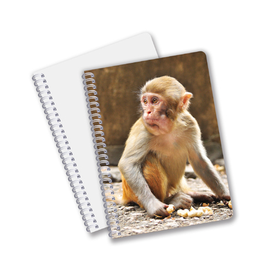 A5 A4 Standard Billiges 3D-Notebook Anpassbares 3D Schönes Panda-Journal-Notebook