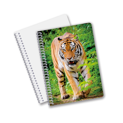 China Factory 3D Lenticular Custom Offset gedruckte PET A3 / A4 / A5 / A6 Notebooks