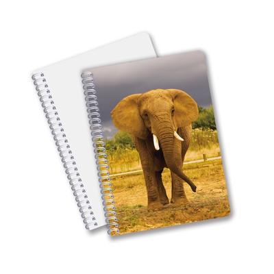 China Low Price Products Custom 3D-Linsendruck Blumen Tiere Hardcover Wiederverwendbares Notizbuch mit Logo