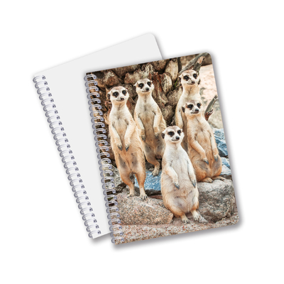 China Factory 3D Lenticular Custom Offset gedruckte PET A3 / A4 / A5 / A6 Notebooks