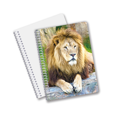 China Factory 3D Lenticular Custom Offset gedruckte PET A3 / A4 / A5 / A6 Notebooks