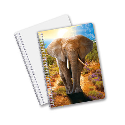 China Factory 3D Lenticular Custom Offset gedruckte PET A3 / A4 / A5 / A6 Notebooks