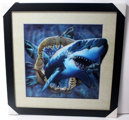 40 X 40cm 3D Lentikular Flip Picture Großhandel / Custom Lentikular Druck 3D Plakat 3D Lentikular Foto mit Tier