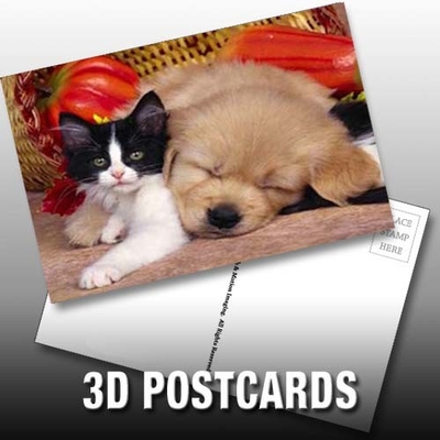Flip-Effekt 3D-Linsen-Postkarte Schöne Welpen und Kätzchen Design