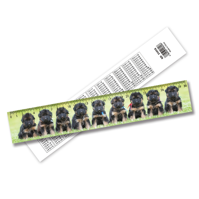 3D Lenticular Ruler High Definition mit starkem 3D-Effekt