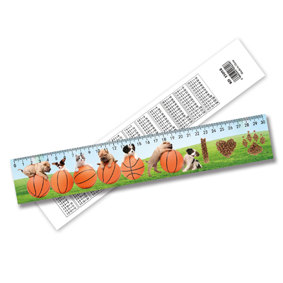 3D-Linsen-Druckbare Parallelruler Großhandelsprodukte Maßgeschneiderte Kunststoff 3D-Ruler für Schulen Kunststoff John