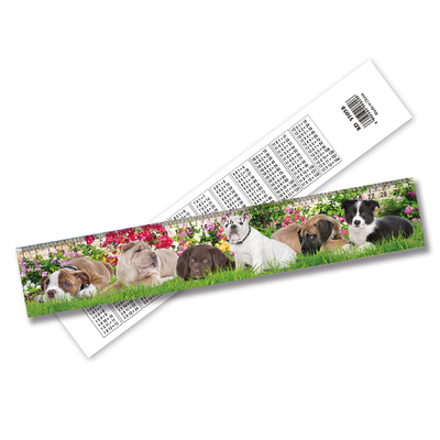 Anpassbares lentikulares 3D-Ruler PET-Hausdekorationen mit 3D-Animationseffekt