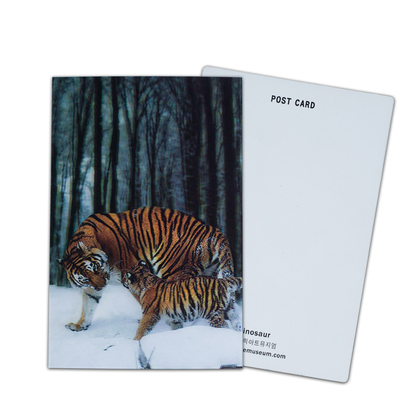 Brauner Bär in Alaska Linsenkarte Souvenir Geschenkkarte für Touristen 3D-Postkarten