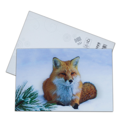 3D-Postkarte für Zoo-Pack Seelife