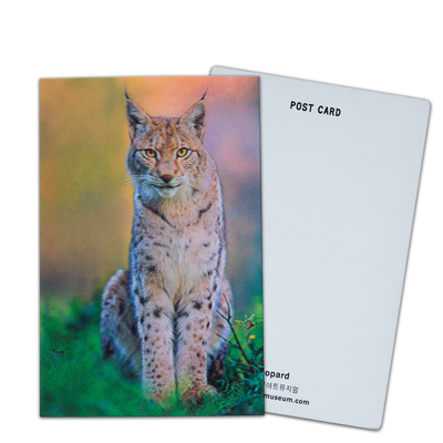 3D-Postkarte für Zoo-Pack Seelife