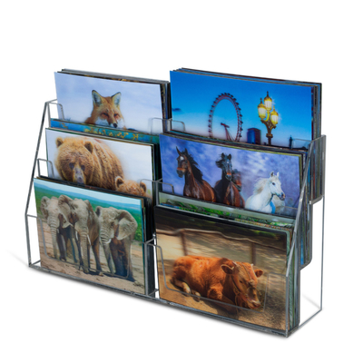 Kindergeschenke Dinosaurierkarte 3D-Animation Bild 3D-Postkarte Bewegt Karten