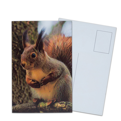 3D-Postkarte für Zoo-Pack Seelife
