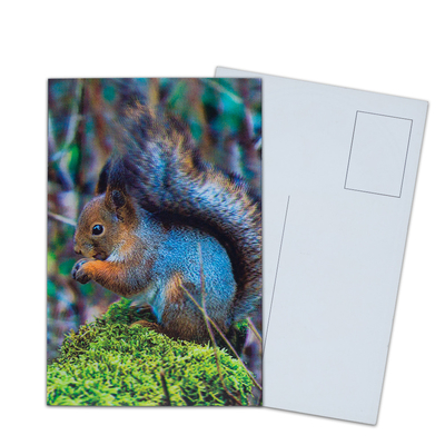 3D-Postkarte für Zoo-Pack Seelife