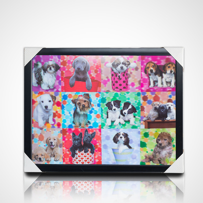 3D-Linsenmalerei mit schwarzem Rahmen 40*30cm PET 5D 3D-Linsenmalerei Bilderrahmen Kunstwerk Moderne Bilder