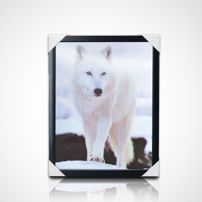 Großhandel Wandfarben PET 40*30cm 3D 5D Linsenartige Tiere Weltbild mit schwarzem Rahmen für Wohnzimmerdekoration