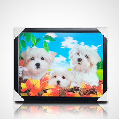 Custom 30*40 cm Japanische Anime Malerei Anime Bilder 3D Poster Linsenförmiges Anime Poster für Wanddekorationen