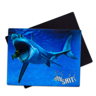 3D-Magneten Seelifes Delfin Hai Schildkröte Lentikuläre Druckkarte zum Geschenk