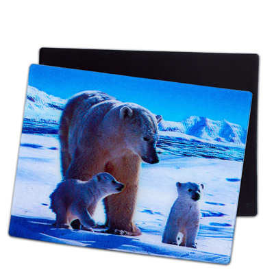 Schöne Welpen 3D-Magnete Linsen 3D-Kühlschrank Magnet zum Souvenir Geschenk