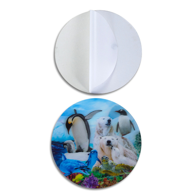 3D-Linsen-Aufkleber / Linsen-Druck-Aufkleber / Anpassung von 3D-Anime-Bewegungsaufklebern