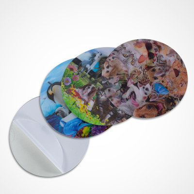 3D-Linsen-Aufkleber / Linsen-Druck-Aufkleber / Anpassung von 3D-Anime-Bewegungsaufklebern