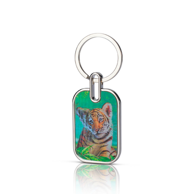 China Acryl Schlüsselhalter mit UV-Druck Anime Charms Kunststoff mit Edelstahl