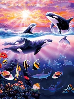 Sealifes Delfin Schildkröte Hai Lentikulär 3D Bewegung Karte Souvenir Geschenkkarte