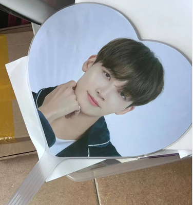 Custom KPop Veranstaltung Ventilator für Geschenk Custom Kunststoff PET Transparent 3D Ventilator