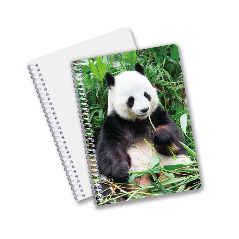 Großhandel angepasste Warmverkaufsmenge A6 A5 A4 PET-Spiral 3D-Linsenform CMYK-Druck-Notebooks für Büroarbeiten