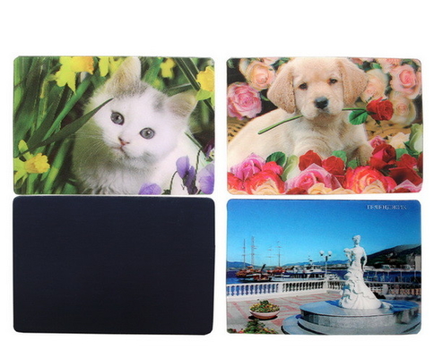 3D-Kühlschrankmagnete 3D-Linsen-Kreativkühlschrankmagnet Magnetische 3D-Magnete Touristen Souvenir