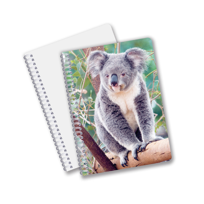 Alltäglicher Gebrauch Gute Qualität Made in China Öko-freundliches PET Langlebiges Custom Sheets 3D-Linsen-Spiral-Notebook