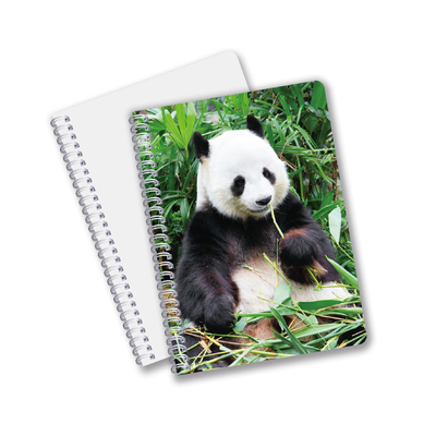 Großhandel angepasste Warmverkaufsmenge A6 A5 A4 PET-Spiral 3D-Linsenform CMYK-Druck-Notebooks für Büroarbeiten