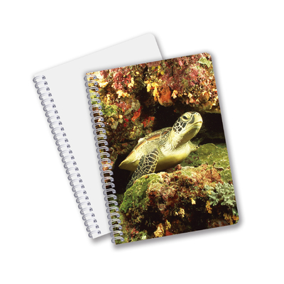 Schulpapier 3D-Linsenwerbung Spirale-Notebooks für Kinder Werbegeschenk