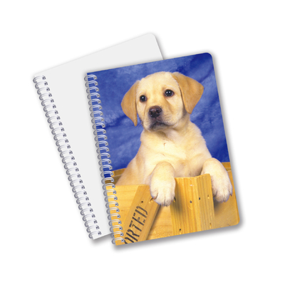 China Factory 3D Lenticular Custom Offset gedruckte PET A3 / A4 / A5 / A6 Notebooks