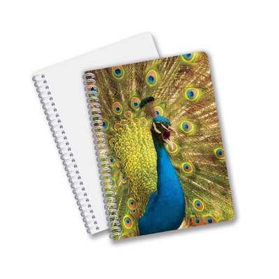 Gute Qualität Personalisiertes 3D-Linsen-PET-Material Werbegeschenk Spiral 3D-Druck-Notebook