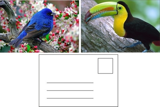 3D-Postkarte für Zoo-Pack Seelife